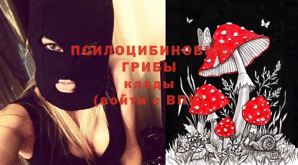 каннабис Алексин