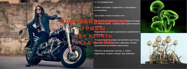 индика Алексеевка